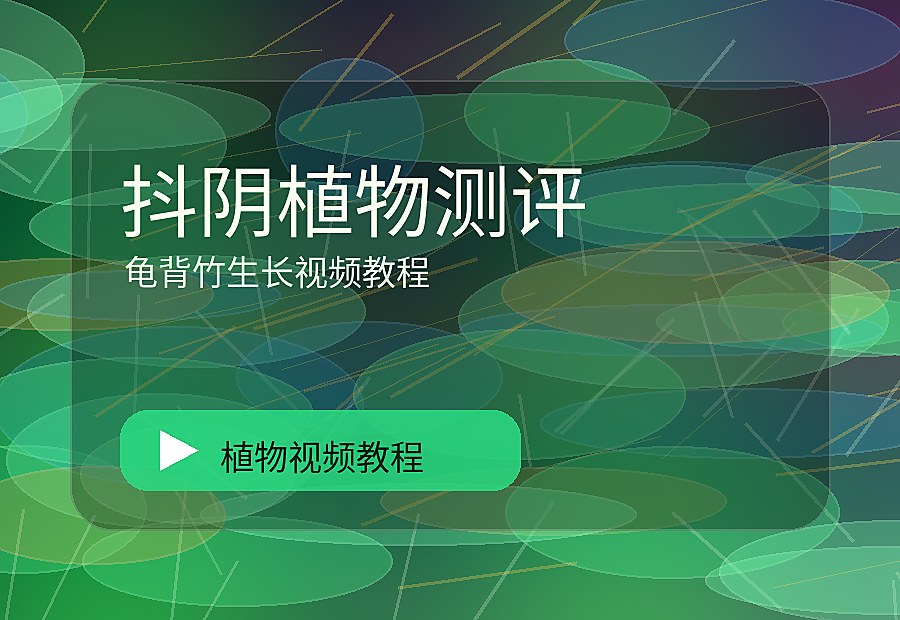 九一绿影