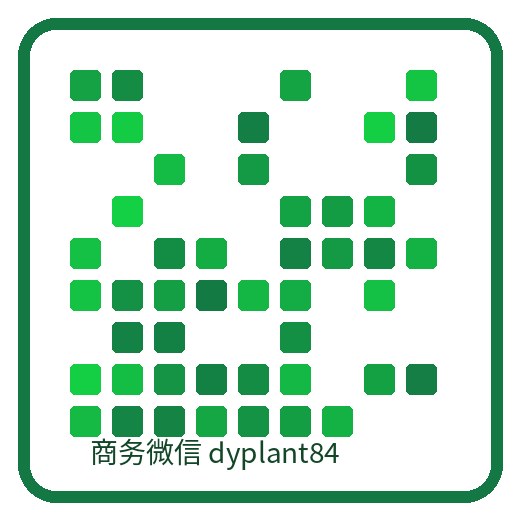 九一绿影